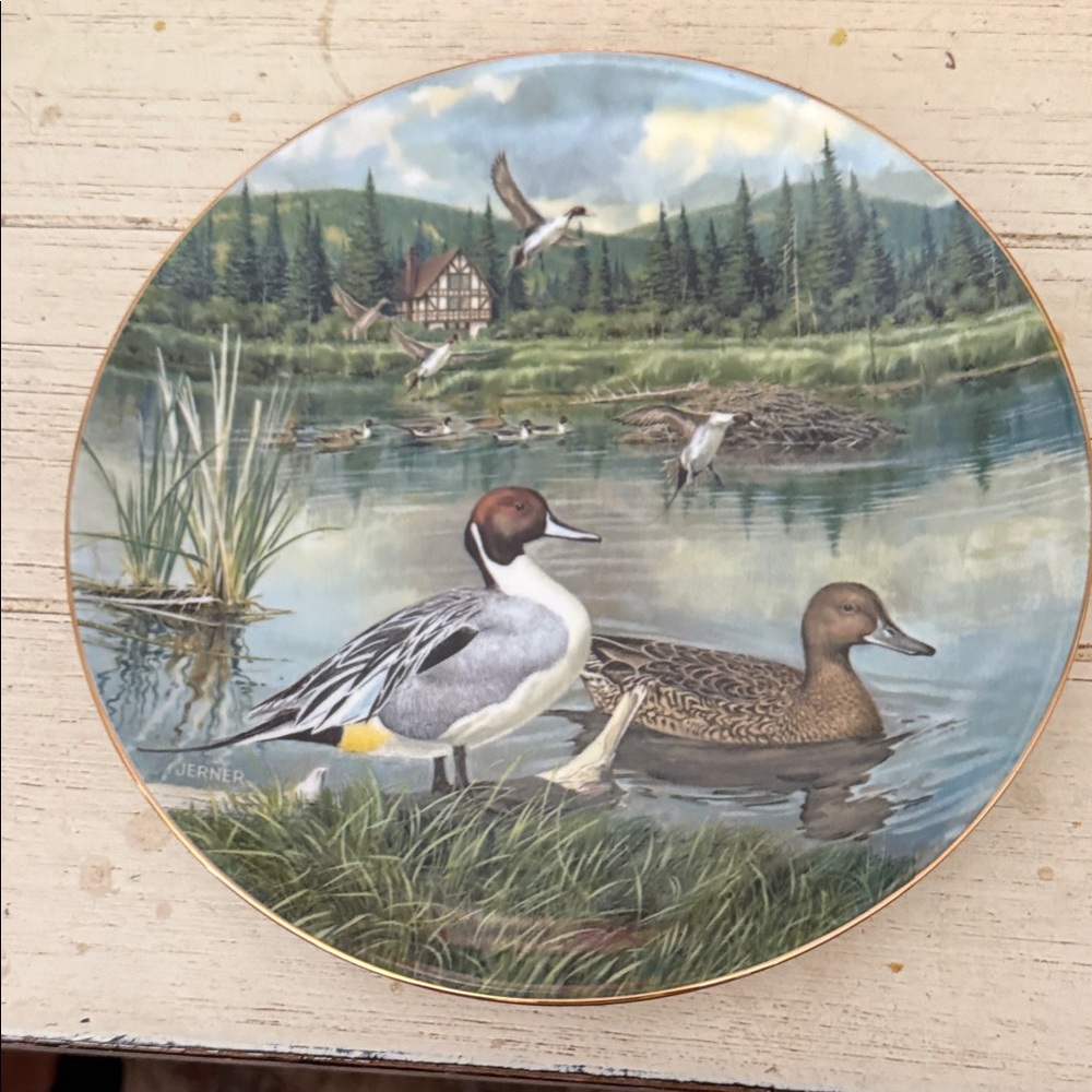 Knowles White Collector's Plate - The Pintail Edition